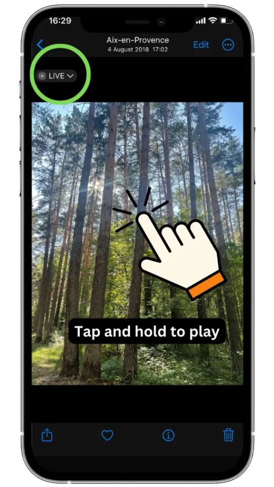 How to view Live photo on iPhone