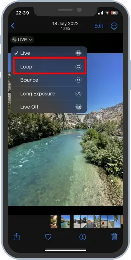 Turn Live Photo into GIF