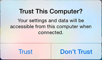 Trust this computer