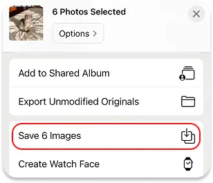 Save photos from shared album on iPhone