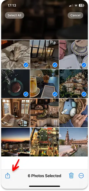 Select all photos in a shared album