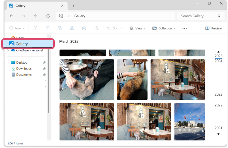 Where to find imported photos from Samsung to PC?