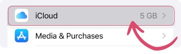 iCloud settings on iPhone